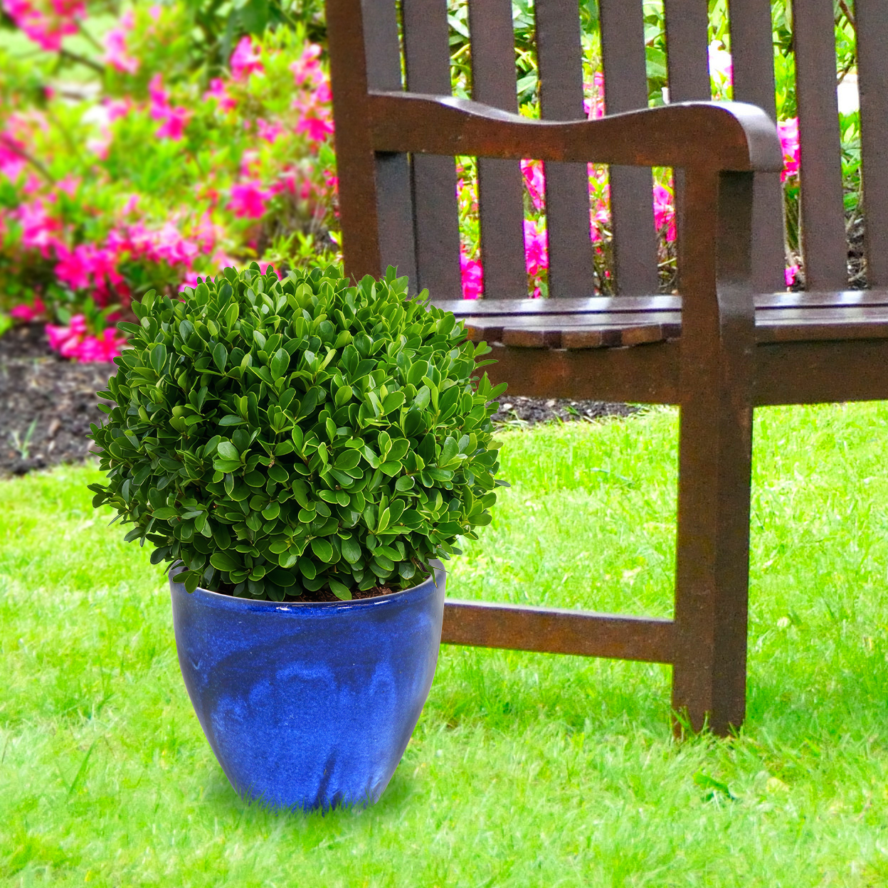 thumbnail video image 2 of Sunnydaze Studio 15" x 15" x 12.5" Round Seafoam Ceramic Outdoor Planter, 2 of 13