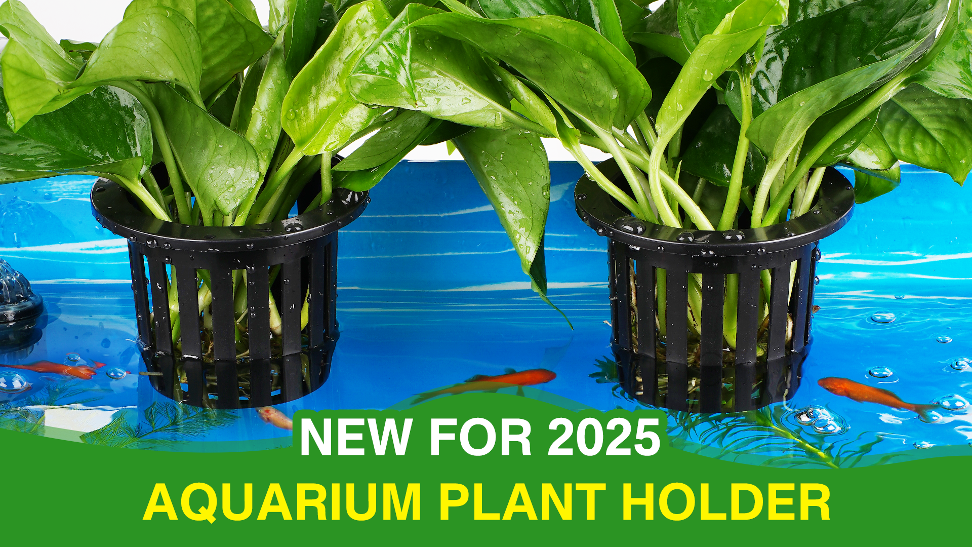thumbnail video image 2 of New for 2025 Aquarium Plant Holder with 1.57-inch Extension Hooks and Suction Cups for Fish Tank Aquaponic Plant Cultivation and Aquascape Decorations Accessories (4 PCS), 2 of 10