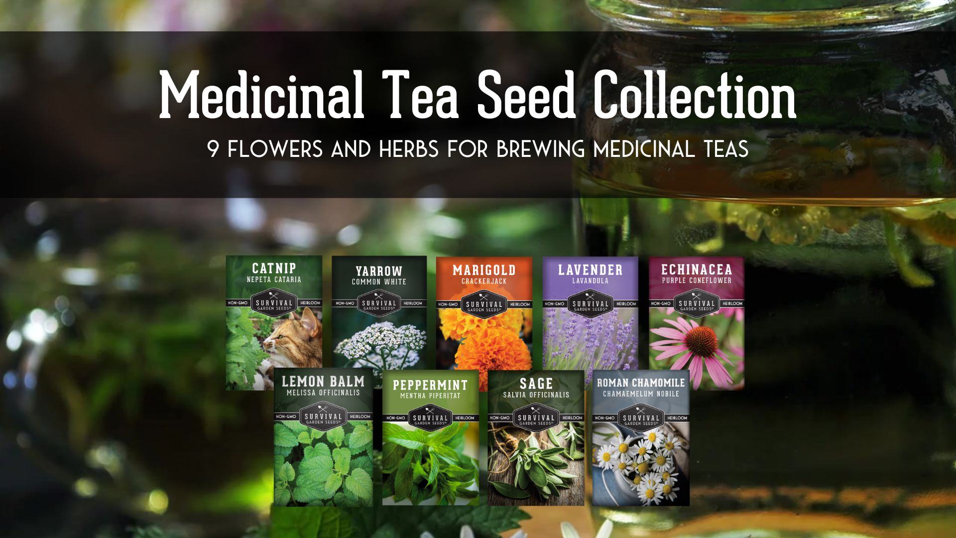 thumbnail video image 2 of 9 Medicinal Herb Seeds - Chamomile Lavender Echinacea Catnip Lemon Balm Marigold Sage Mint Yarrow, 2 of 9