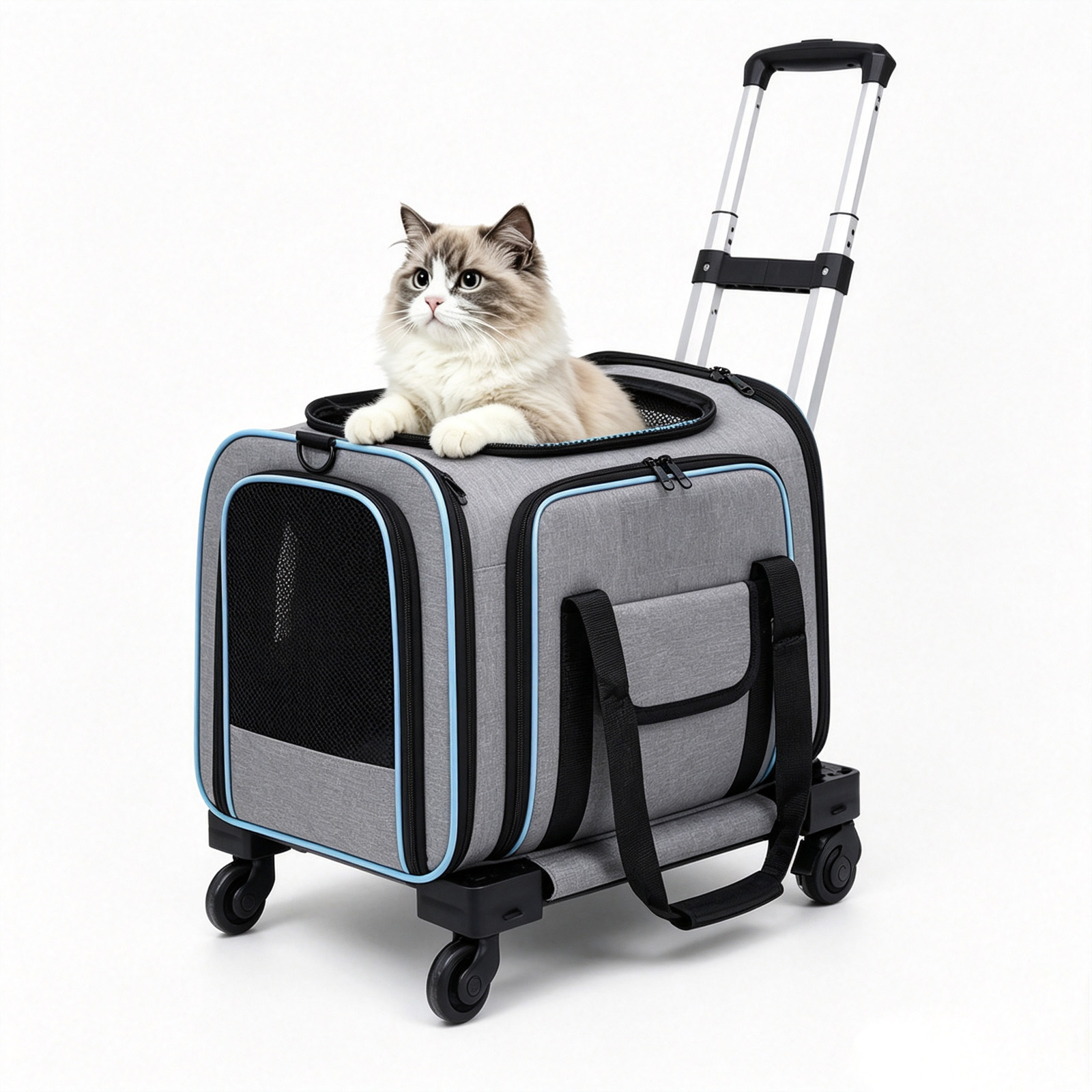 thumbnail video image 2 of Naeqieo Pet Carrier with Wheels for Cat and Small Dog , Foldable Airline Approved Rolling Pet Carrier 17 lbs with Telescopic Handle, Gray, 2 of 8